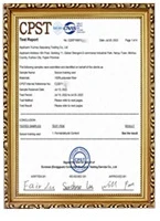 Business License